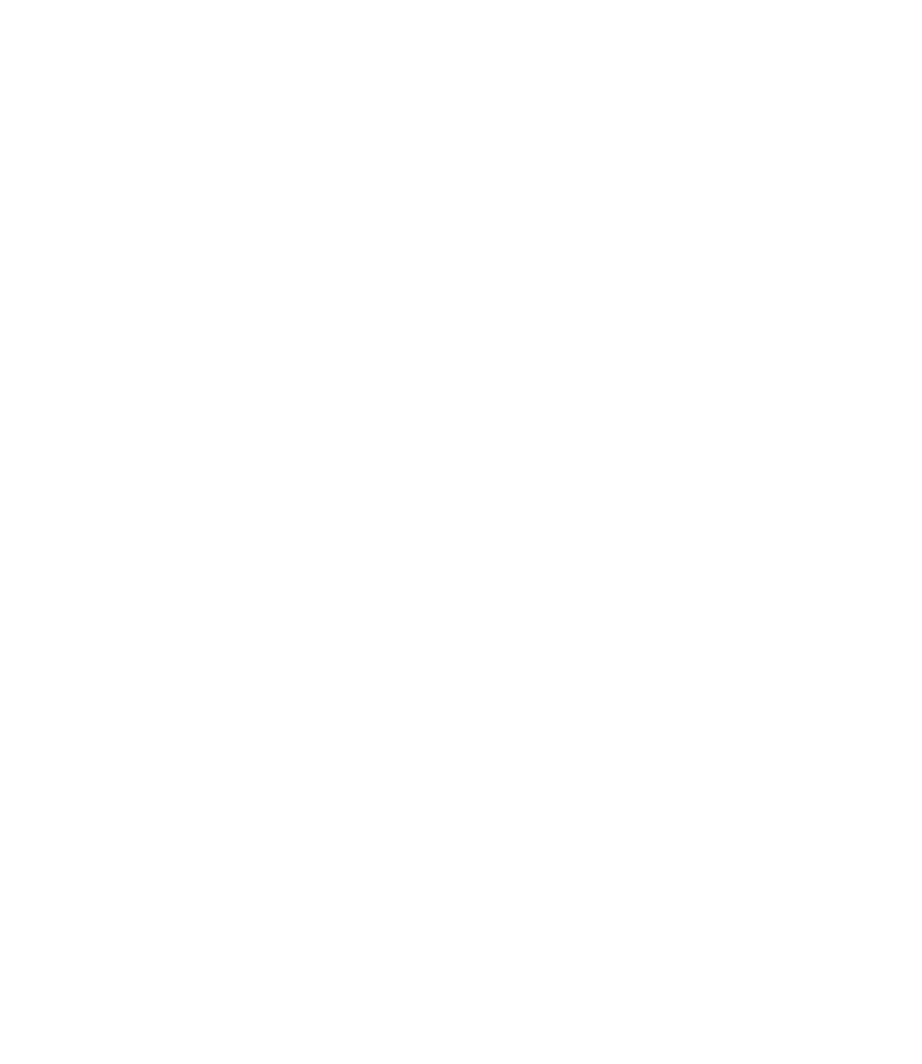 TikTok Ads